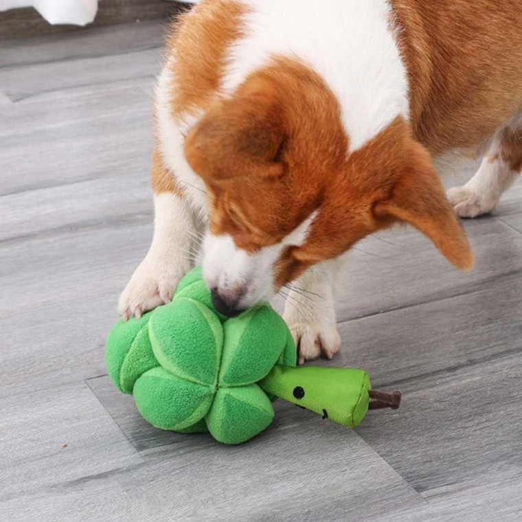 강아지 훈련용 귀여운 인형 노즈 워크 스트레스 해소 장난감 애견 용품 워킹 반려견용 31,600원