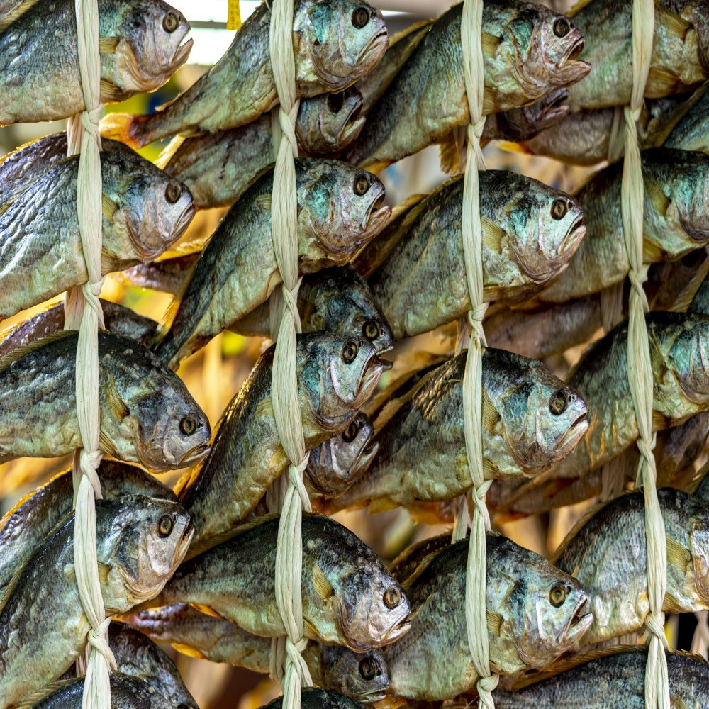 [청담미각] 백화점 명절선물 1위! 전남 영광 법성포 명품 부세굴비! 백화점 3년연속 입점 한정수량 주문! 고객 재구매율 98% ! 해풍 바람이 빚은 예술 왕실의 맛! 122,900원