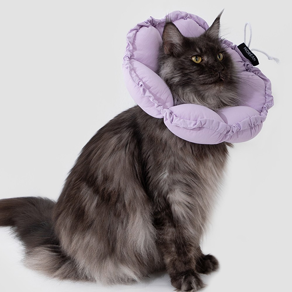 모츄츄 강아지 고양이 초경량 펫 칼라 66g, 2way 플라워 베개 칼라 접이식+접이식, 수술방지 컨, 목욕후 보호대, 알러지 방지, 편안한 착용감, 1개, 토란 퍼플 38,900원