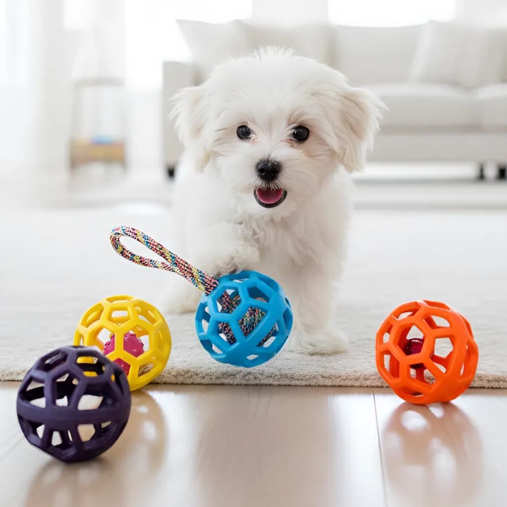 샤샤픽 튼튼한 강아지 장난감 공, 1개, 4종 15,100원