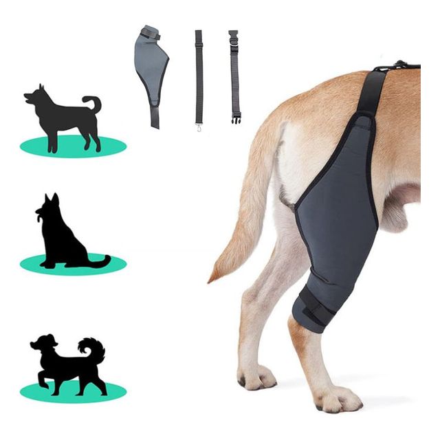 애견용품 강아지 탈구 보호밴드 산책 보호대 관절 M 슬개골보호대 슬개골탈구보호대, 블랙, 1개 31,500원