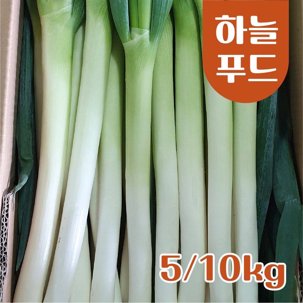 (5kg/Box) 최저가 무료배송 수입 대파 깐대파 손질대파 식자재 신선대파[원산지:중국] 14,000원