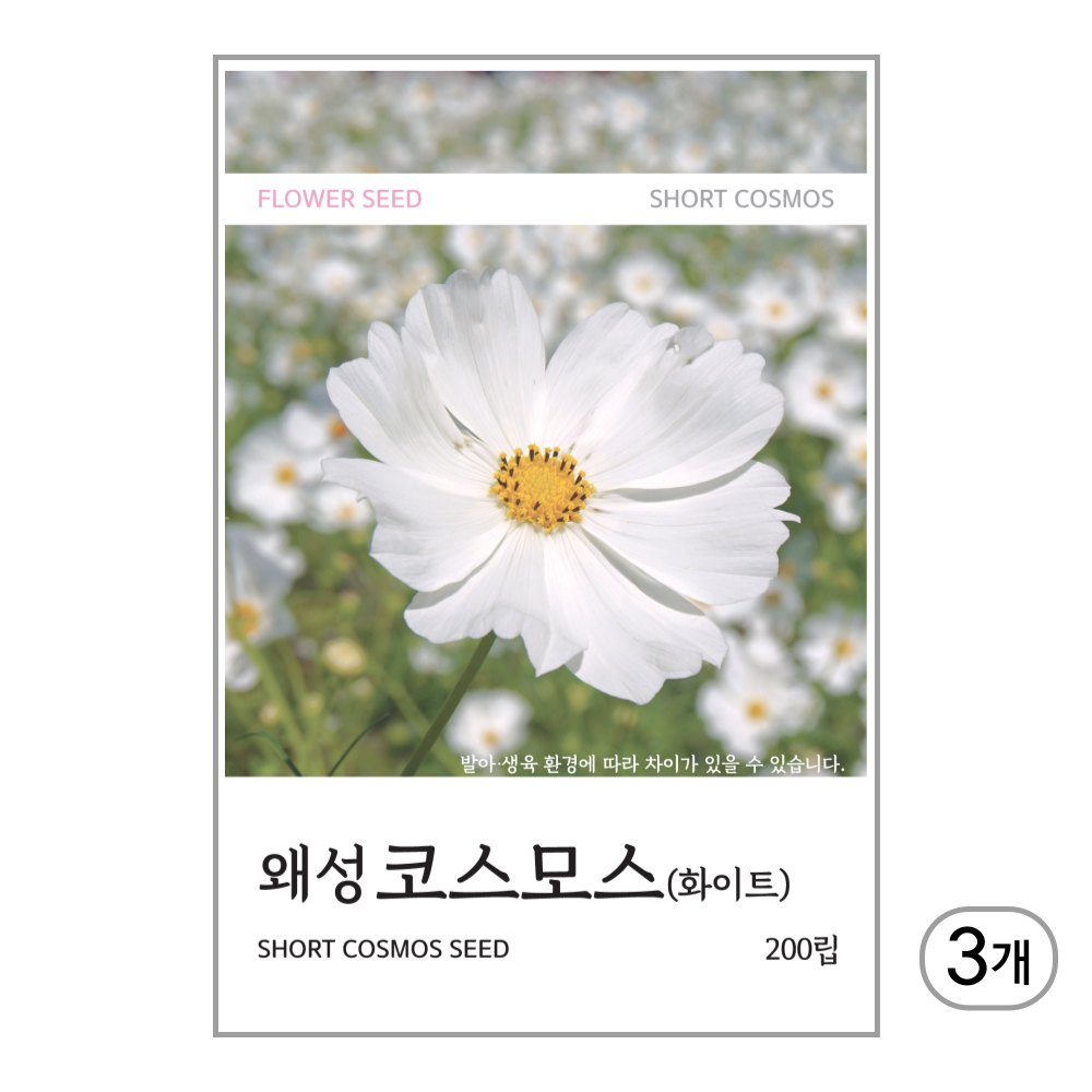 새싹바라기 왜성코스모스(화이트) 씨앗 200립, 3개 7,500원
