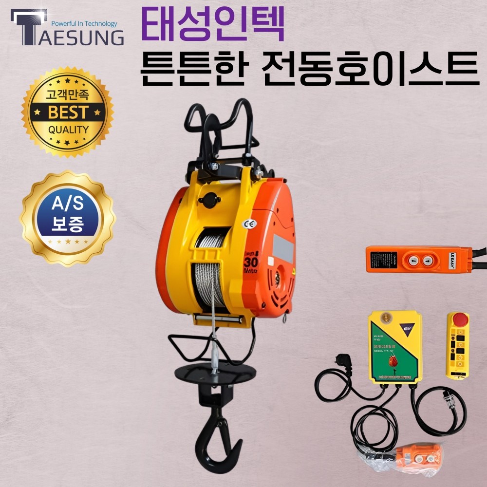 태성인텍 튼튼한 전동호이스트 크레인 윈치 화물 기중기 공장 물류운반 유무선컨트롤, 1개 244,000원