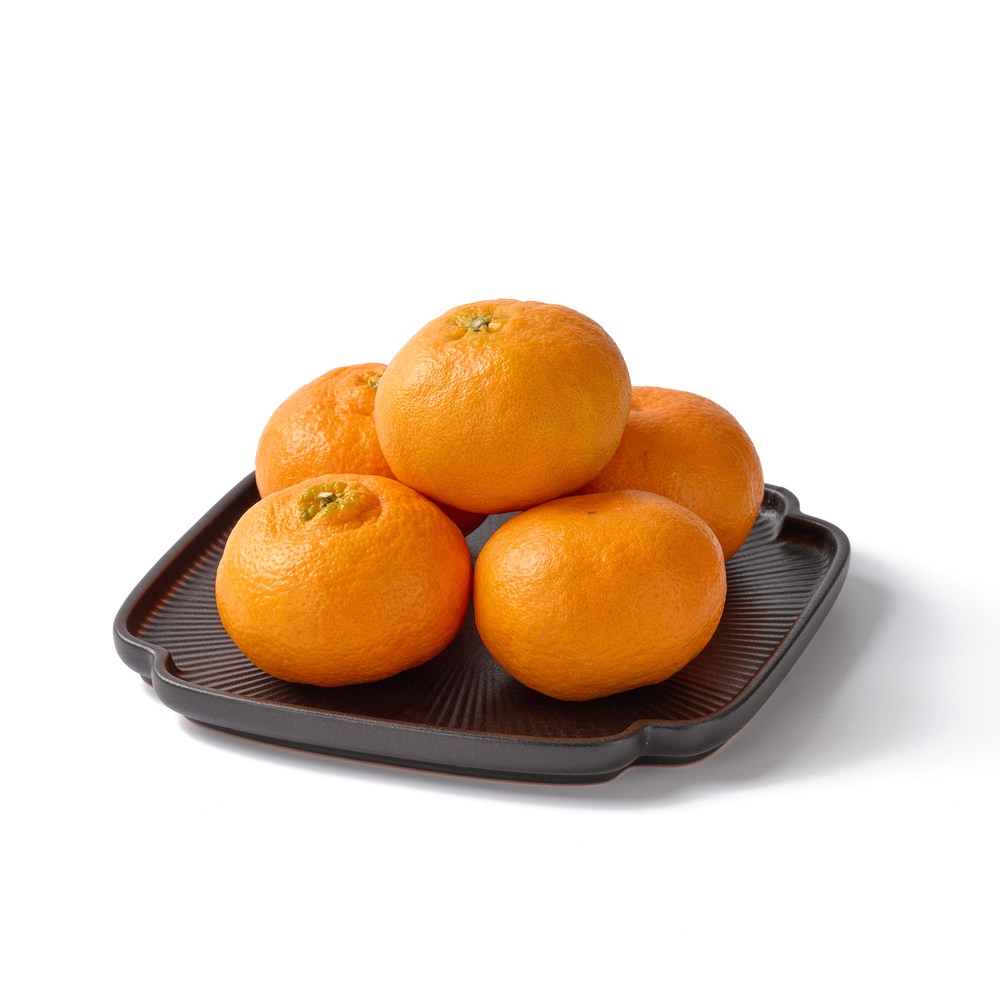 노씨고집 제주 고당도 정품 레드향, 1개, 중과 10kg 78,300원