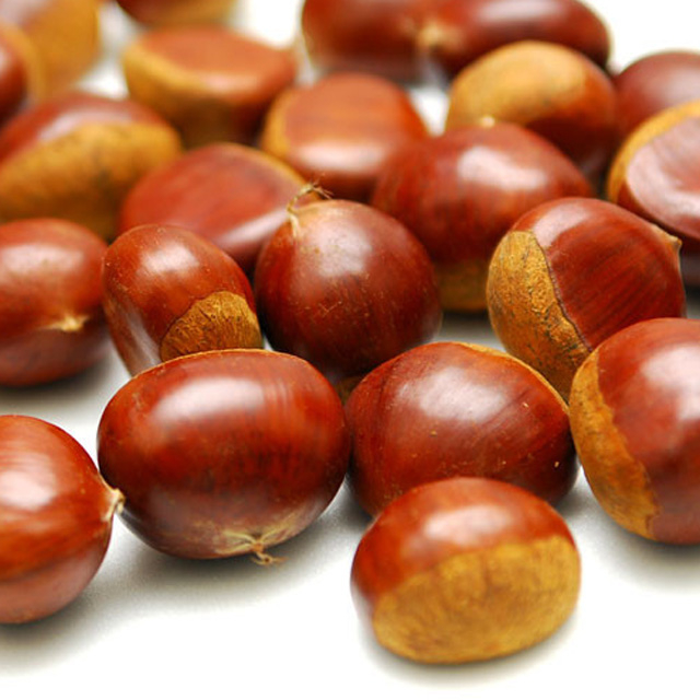 25년 햇밤 달고 맛있는 속이 꽉찬 공주 정안밤 알밤 생밤 밤 21,720원