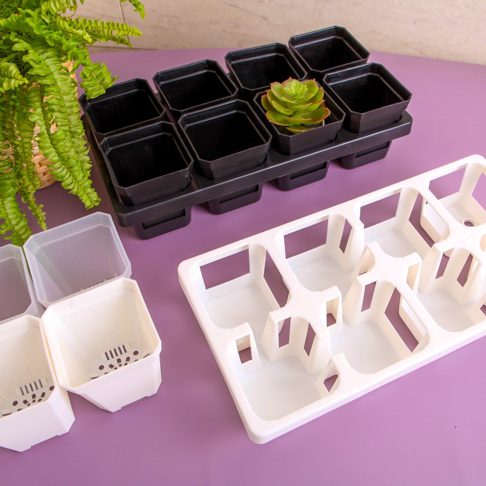 세경팜 미니화분 삽목화분용 8구트레이 삽목트레이 모종트레이 삽목상자 슬릿화분 연결트레이 6,000원