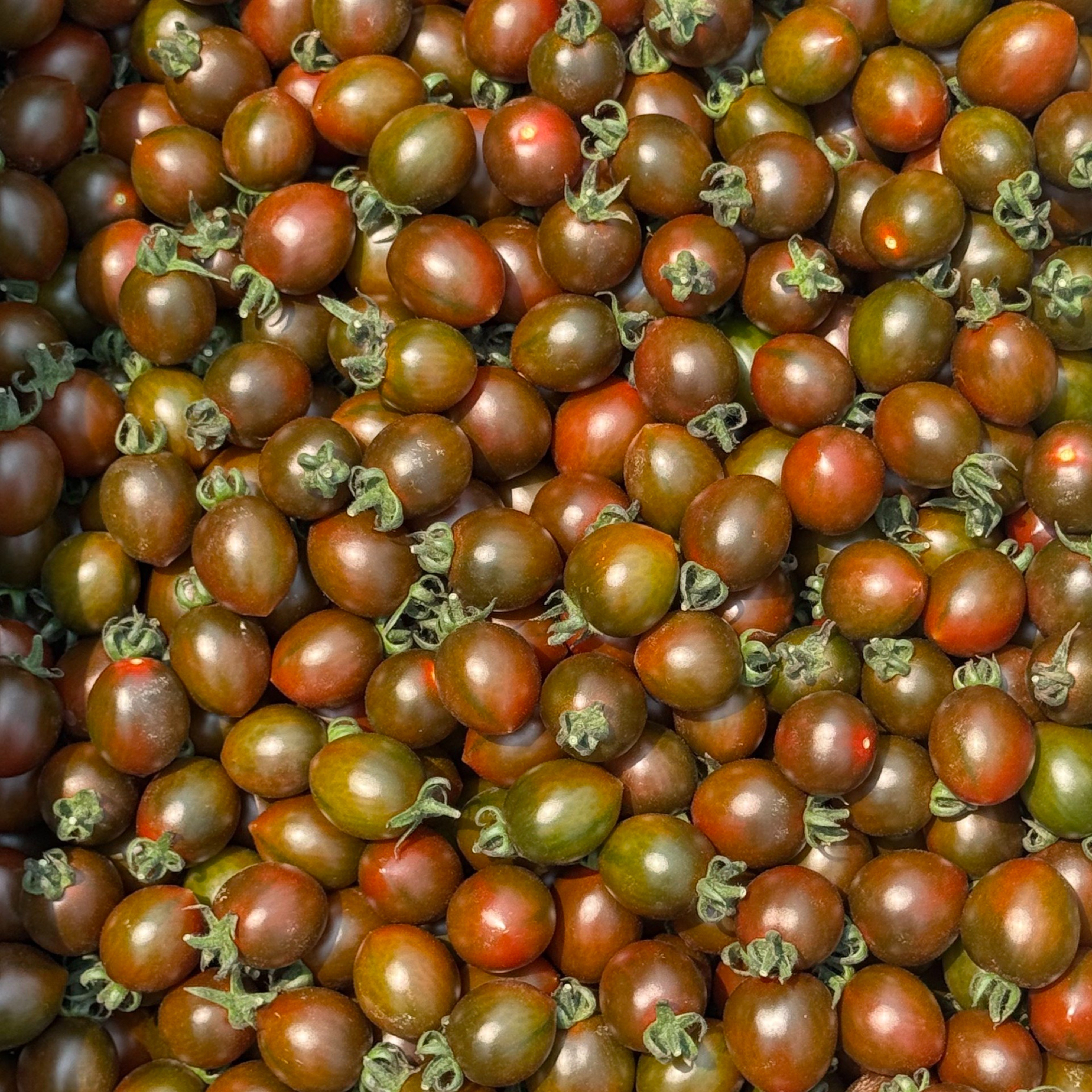 [당일수확] 부산대저 흑대추방울토마토 22,790원