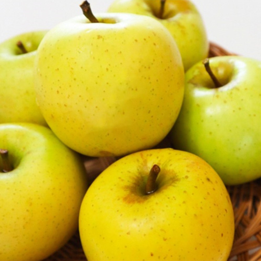 [황금사과] 농산애 청송 맛있는 꿀 시나노골드 사과 33,800원