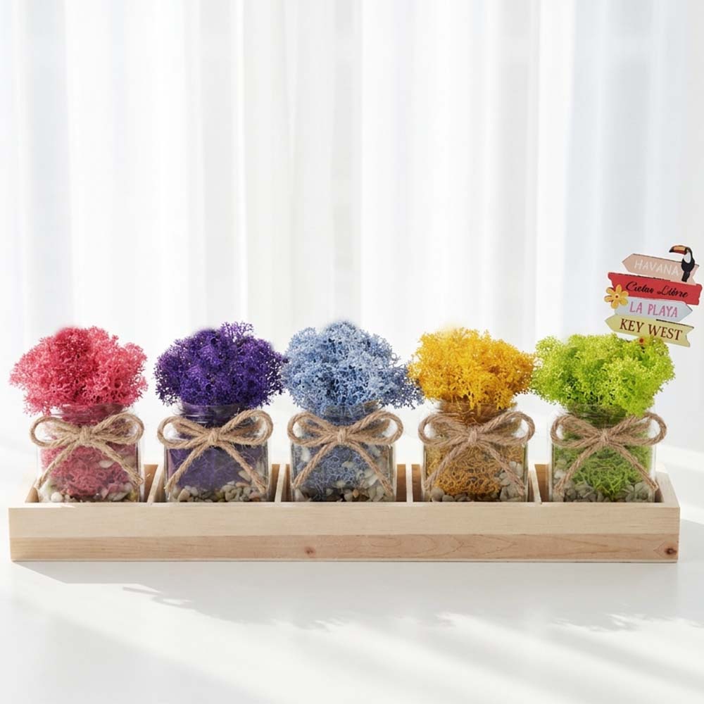 꽃순이 스칸디아모스 공기정화식물 인테리어소품 천연이끼 세트 17,810원