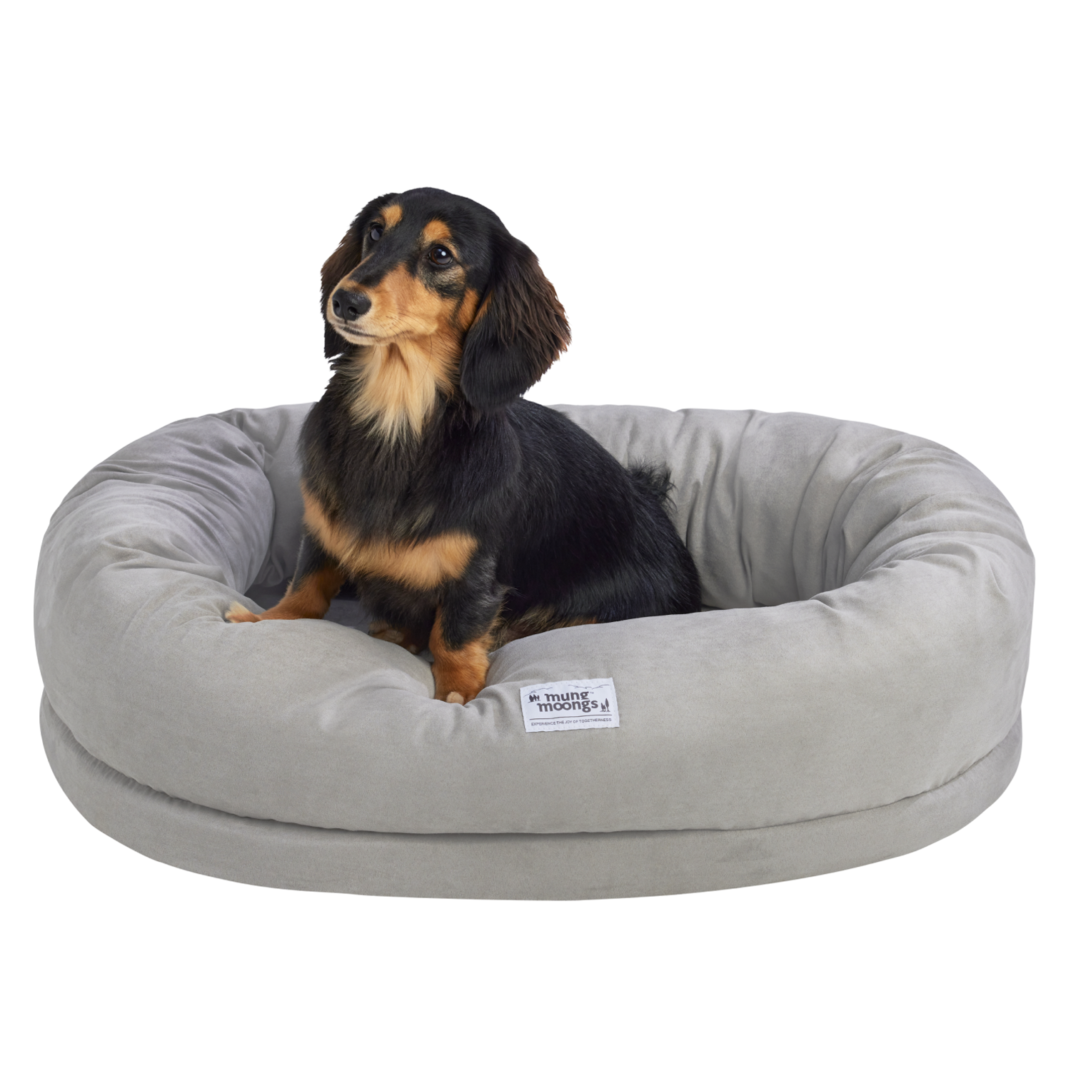 멍뭉스 반려동물 컴포트 소프트폼 쿠션, 포그 그레이, 1개 39,000원