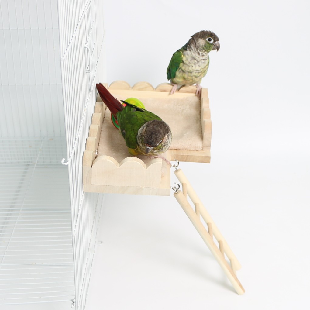 애니버드샵 앵무새 평상 놀이터 구름 울타리 침대 사다리 패드 세트 19,800원