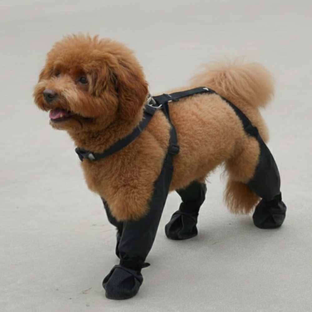 포미온 강아지 장화 사계절용 레인부츠 일체형 19,750원