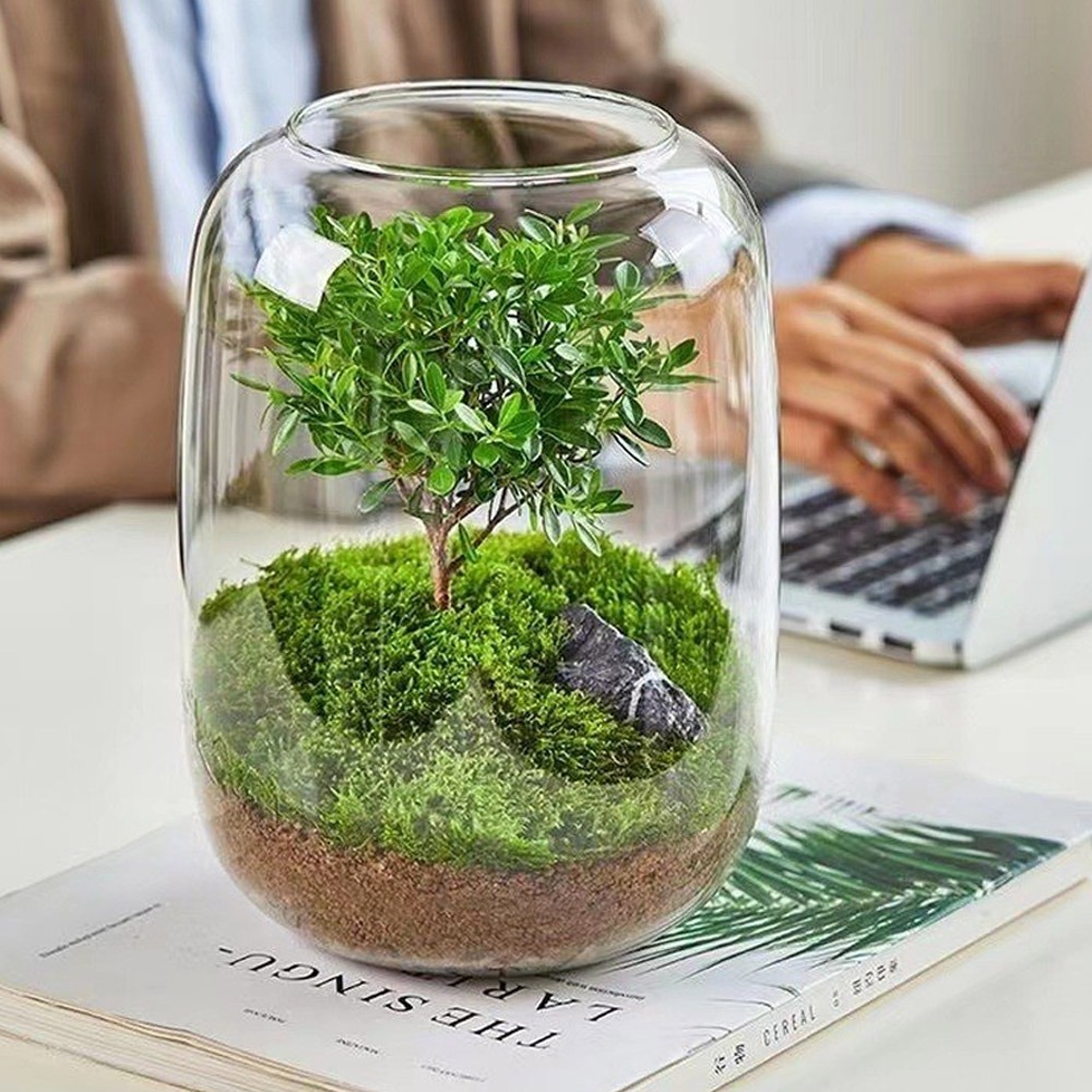 미미네아쿠아 테라리움 볼륨 유리볼 12,000원