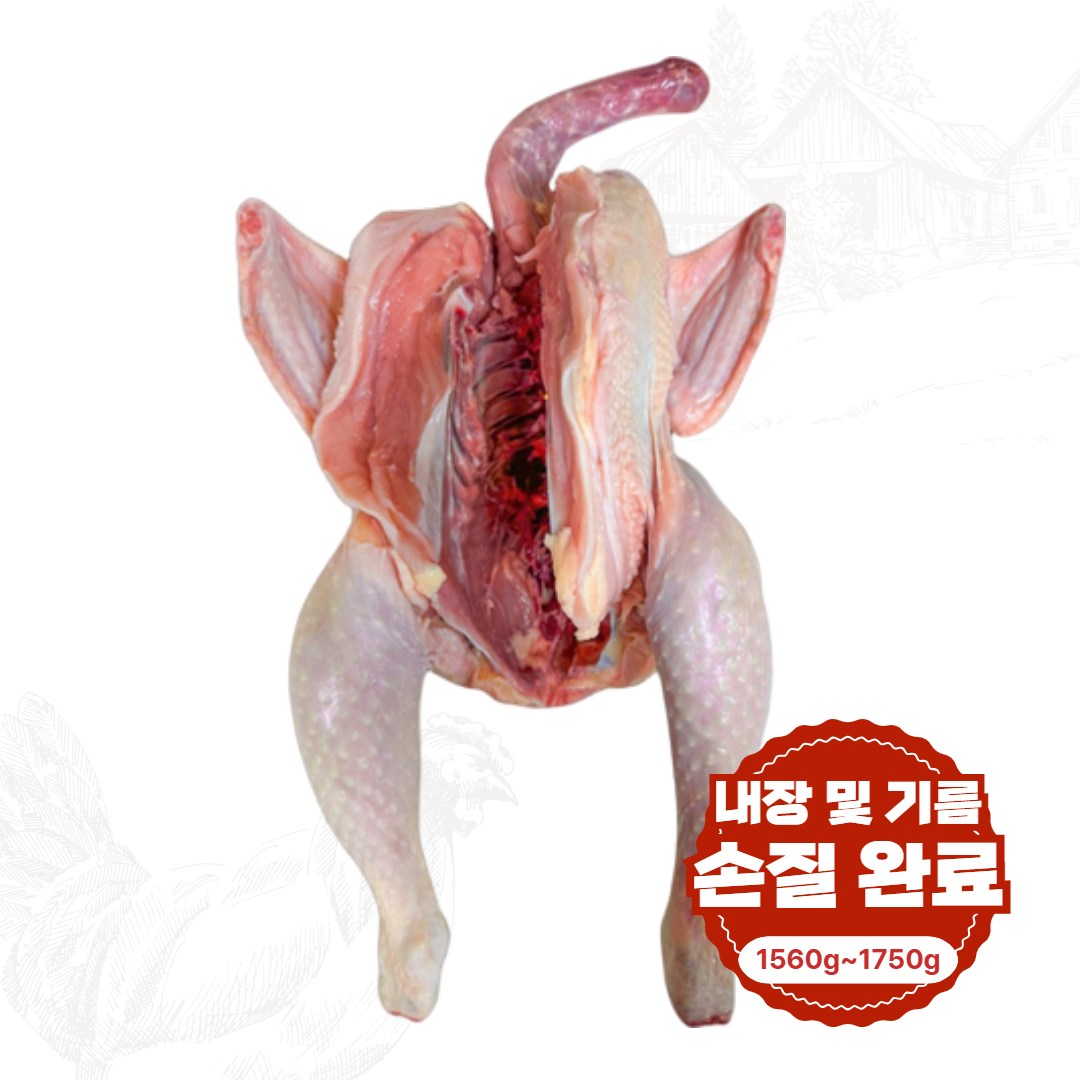 백숙용 토종닭 생닭 닭백숙 몸보신 영양식 닭도리탕 삼계탕 장닭, 1.8kg, 3개 63,400원