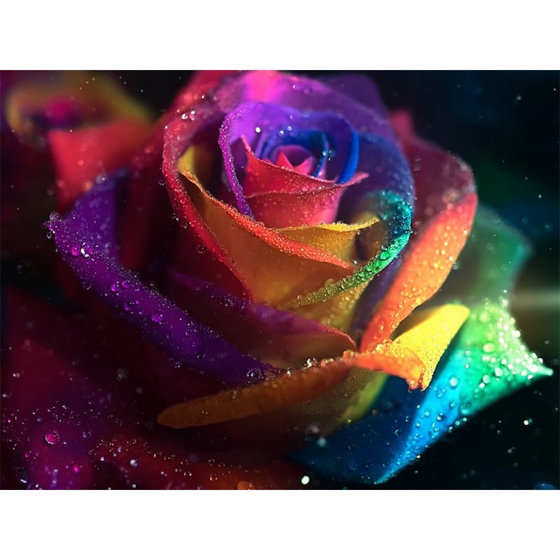 뉴타임즈 3D 보석십자수 벽화 50X40cm DIY 키트 캔버스형 액자 홈 인테리어 특별한 선물 모자이크 십자수 모자이크 보석, 1세트, 꽃000350 19,400원