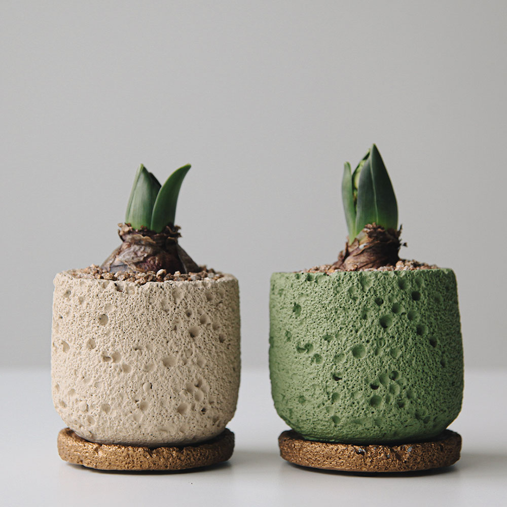 히아신스 세라믹 화산석 화분 키우기 쉬운 식물 14,900원