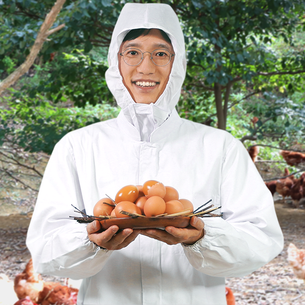 자연방사 구운란 훈제란 동물복지 1번계란 구운란 60구, 1개, 60구 55,900원