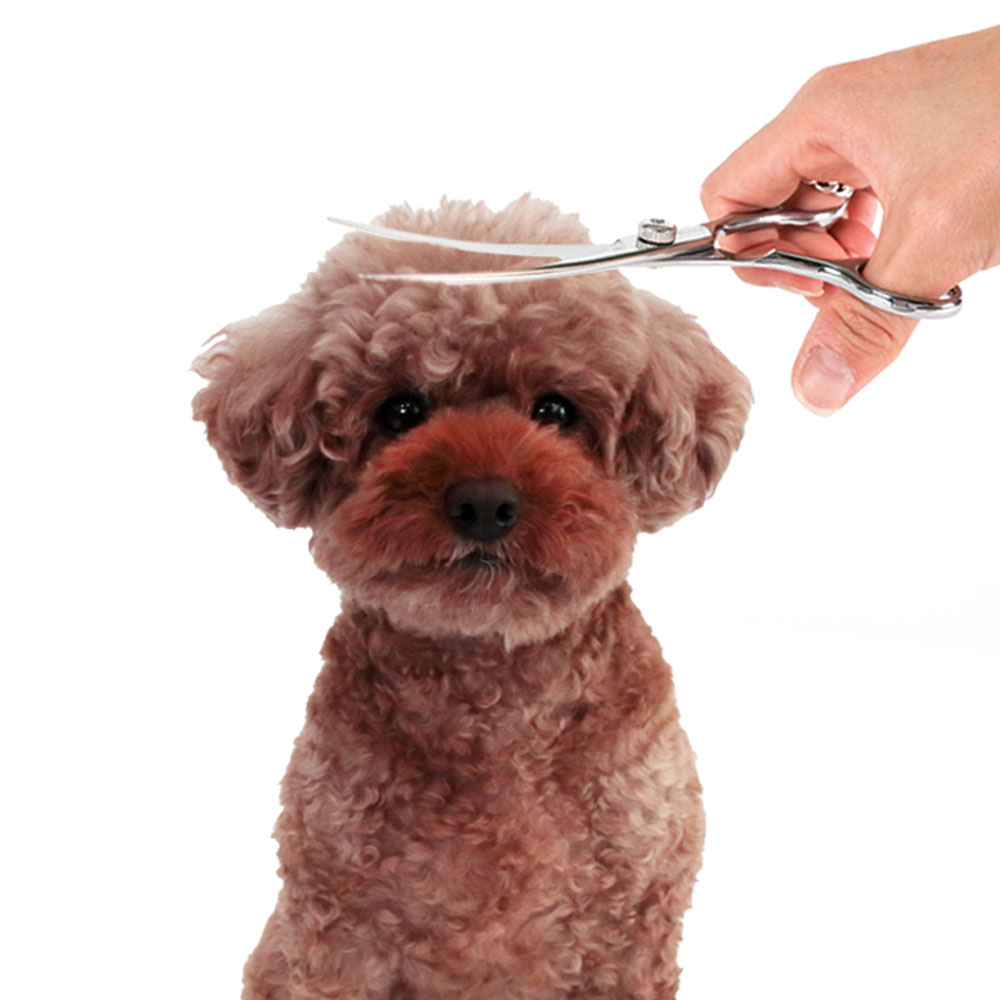 딩동펫 애완 미용 커브가위 상 17cm 6,400원