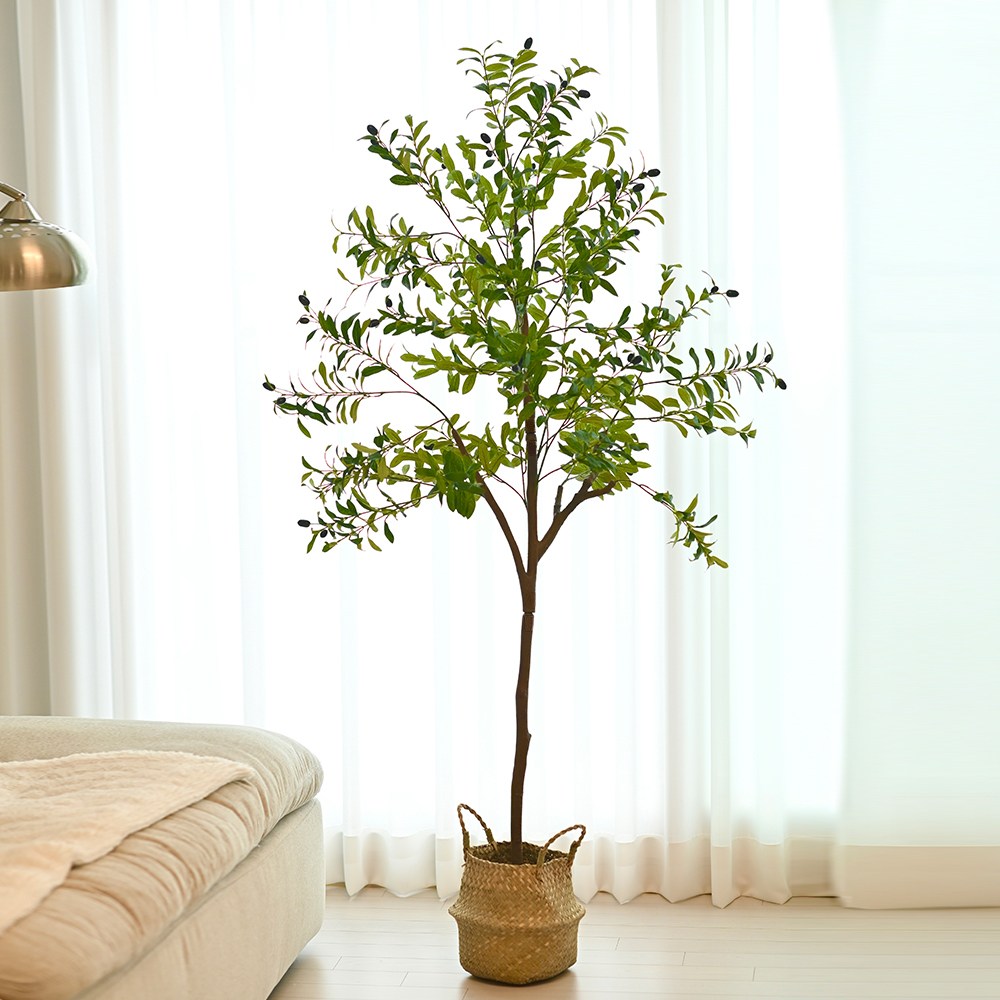 아르띠콜로 조화 올리브 나무+해초 바구니 세트, 1개, 180cm 69,800원