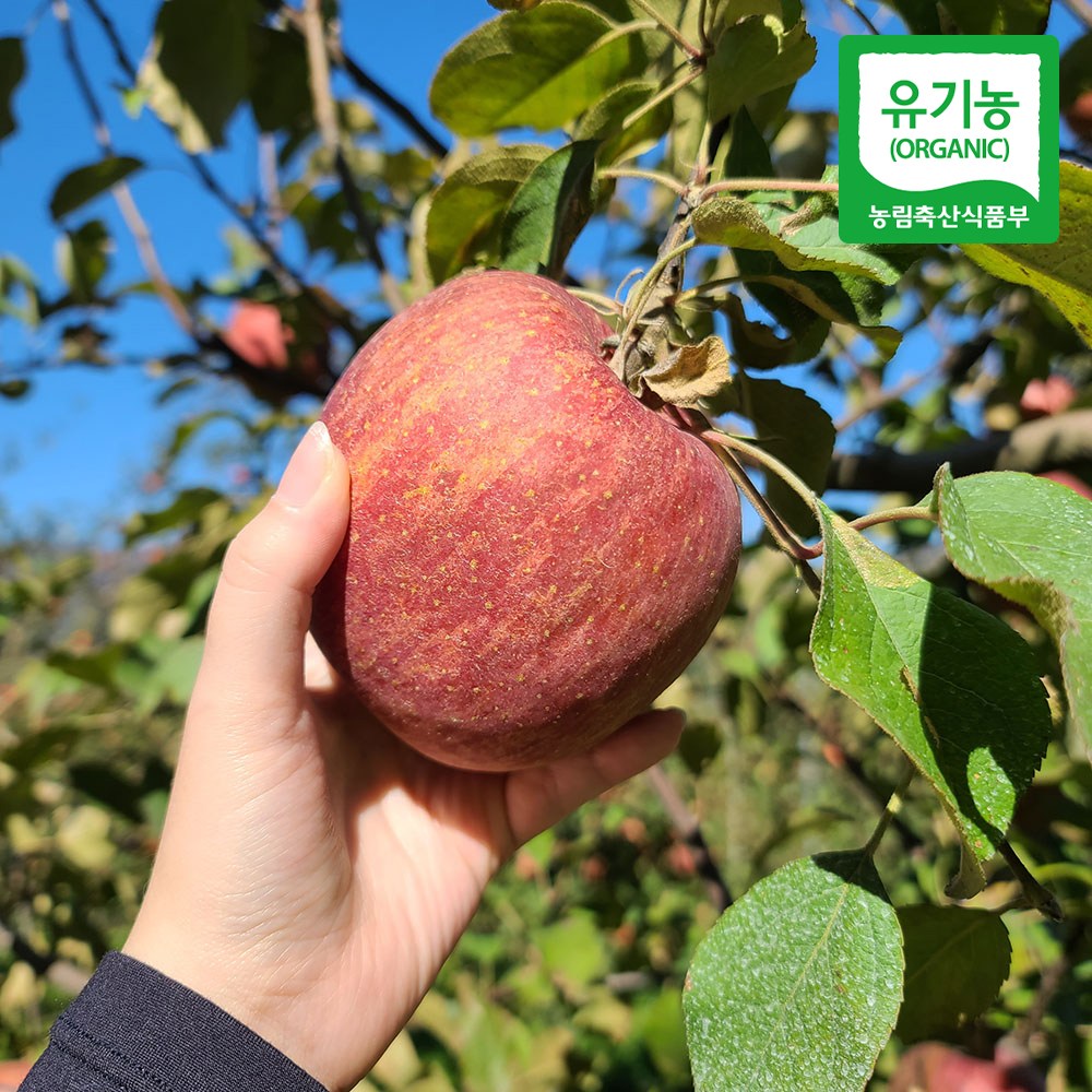 친환경 마음밭 국내산 유기농 사과 10kg 188,000원