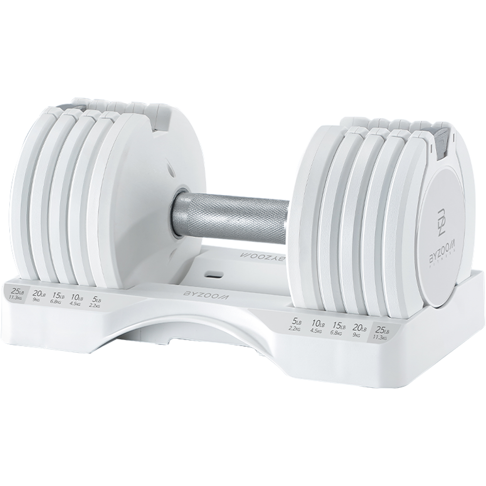 바이줌 5단 무게조절 덤벨 화이트, 11kg, 1개, 현재가 166,900원