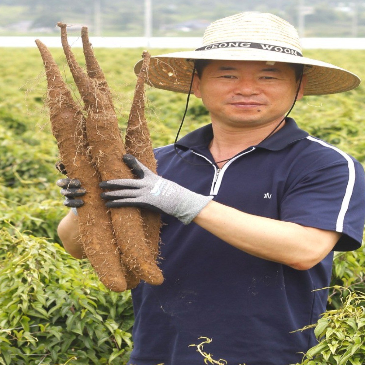 필창농산 안동마 장마 산지직송 생마 13,710원