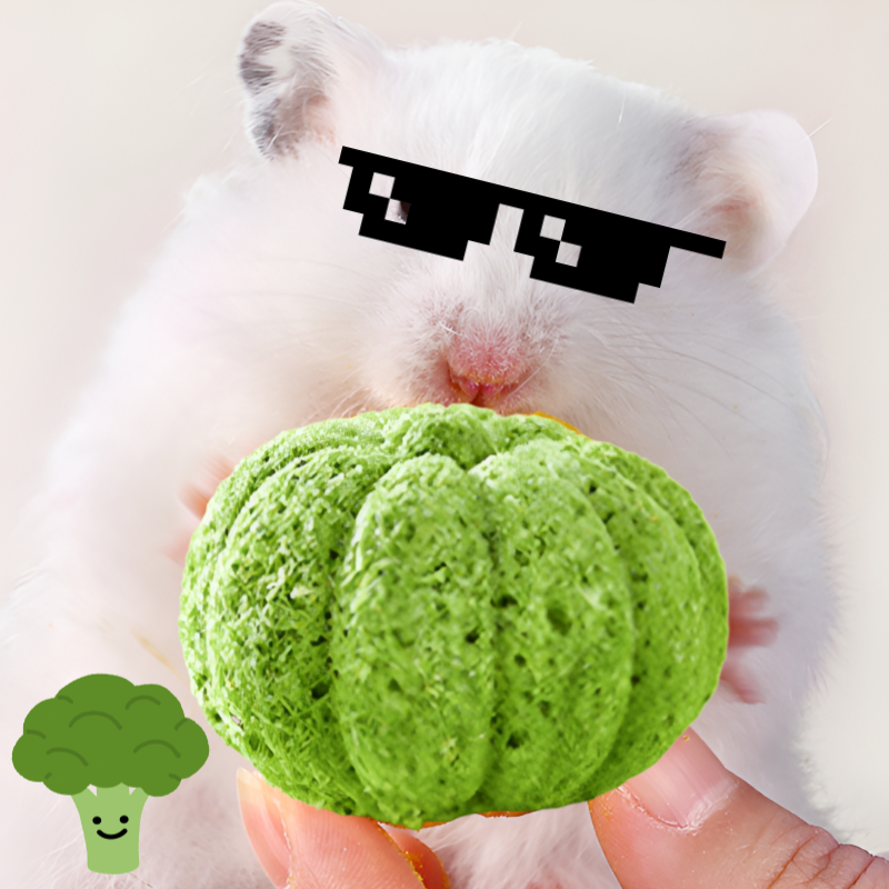 햄스터 호박 이갈이 간식 토끼 친칠라 기니피그 용품 브로콜리맛, 1개, 5g 4,490원