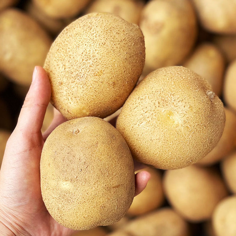 국내산 감자 햇감자 수미감자 타박감자 3kg 5kg 10kg, 1개 25,900원