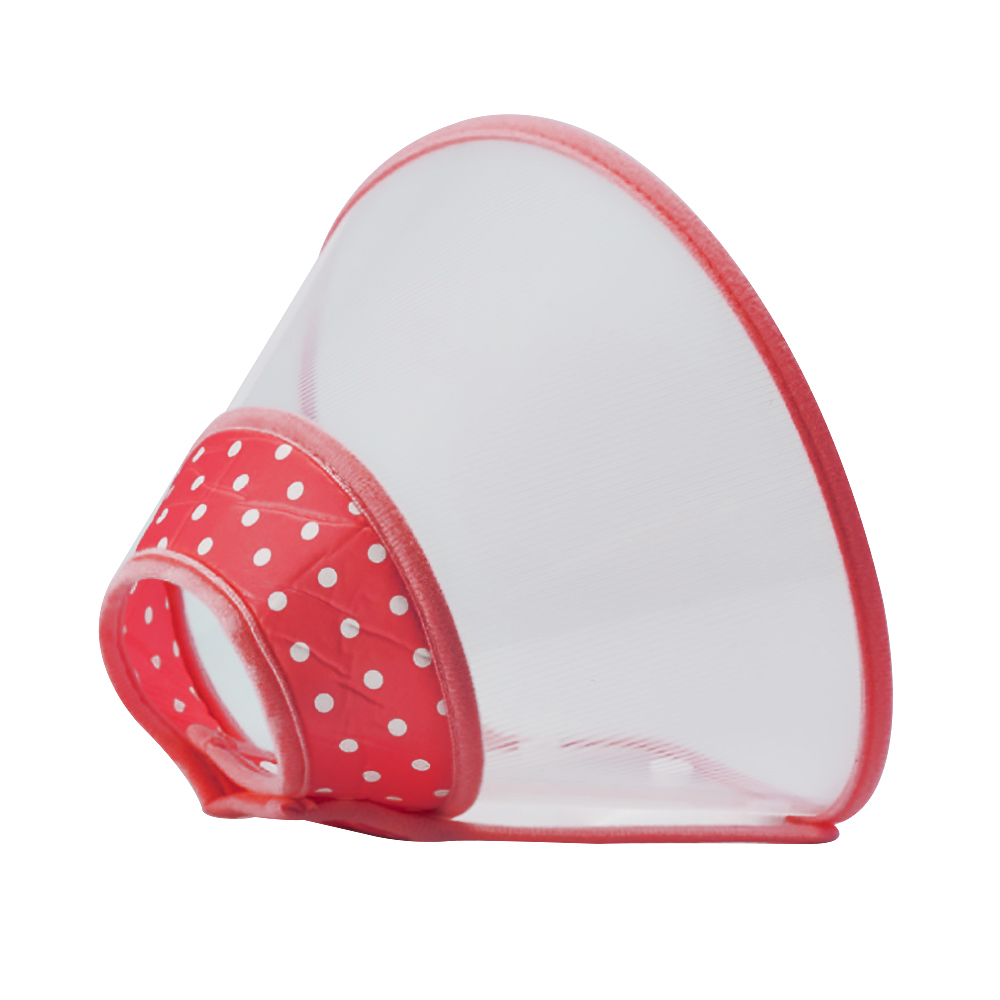 알럽펫 반려동물 상처 방지 투명 토트 넥카라 9,750원