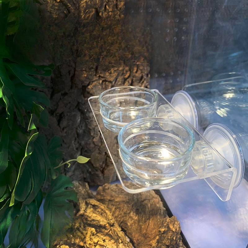 레몽크리프 파충류 크레스티드게코 흡착식 부착식 먹이 물그릇 2구 흡착 12,500원