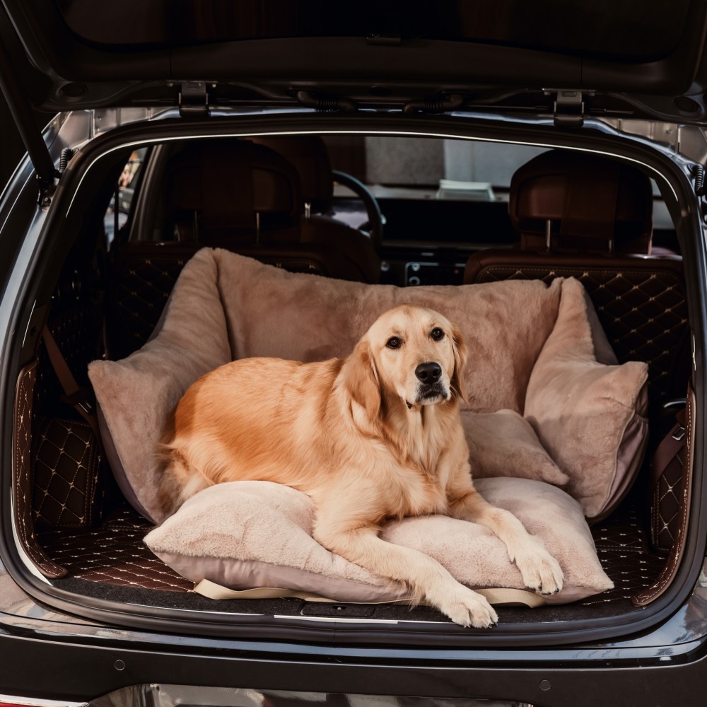 펫다 강아지 고양이 카시트 애견 방석 패드 침대 쇼파 탈부착 세탁 방수 야외 쿠션 투인원 하우스겸용 119,000원