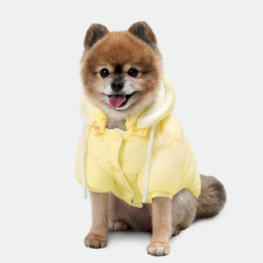 네오핏 강아지 패딩 겨울옷 양면 착용 소프트 구름 모자 넥워머, 레몬옐로우, 1개 34,900원