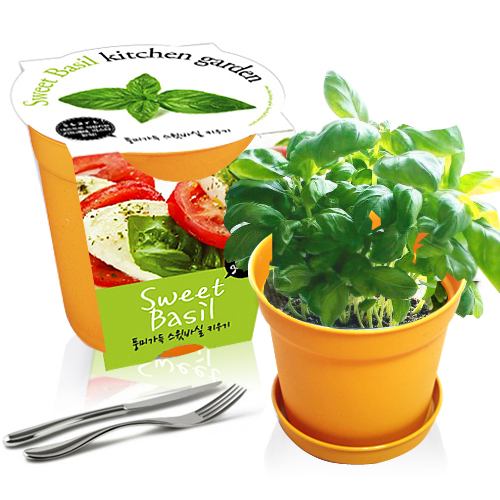 세경팜 컬러키친가든 식물키우기 텃밭세트 6,600원