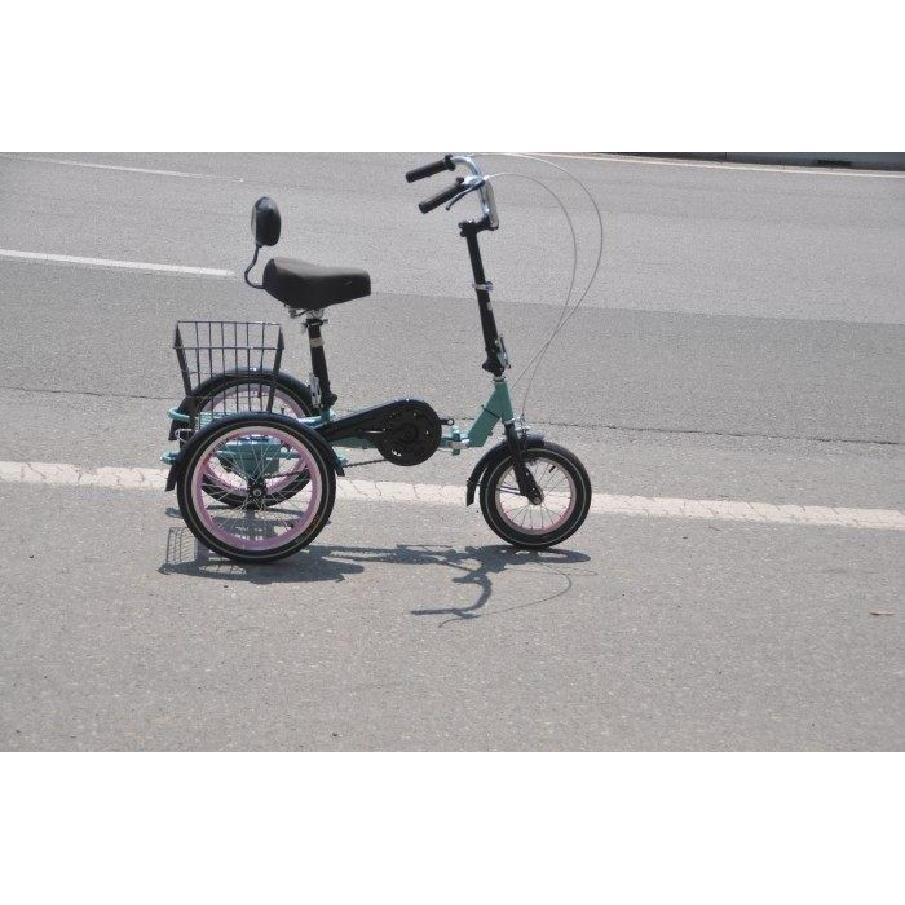 성인 전동 세발자전거 어른용 출퇴근 자전거 전기 세발 바구니 성인용 244,200원