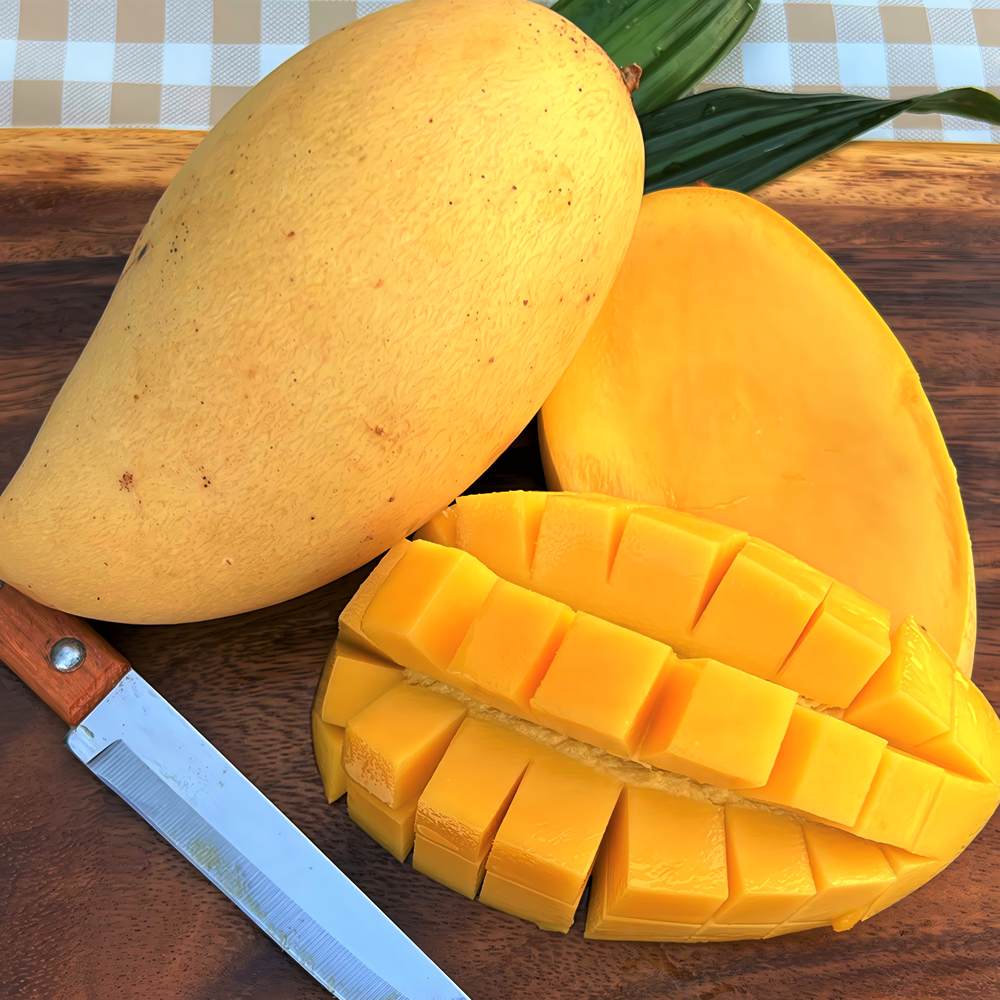 항공직송 태국 망고 골드망고, 1박스, 5kg (14과 내외) 61,900원