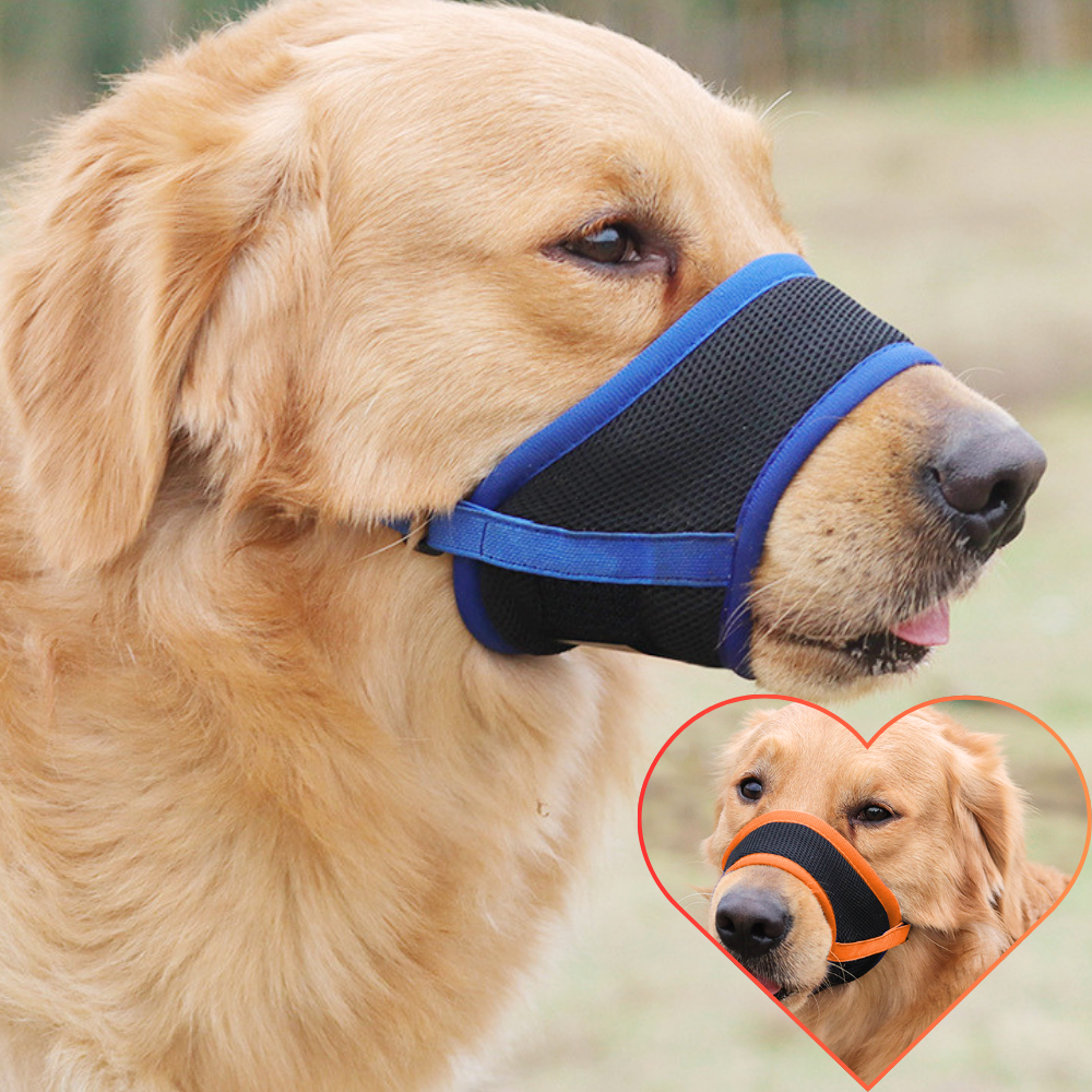 통품스토어 강아지입마개 대형견 메쉬 입마개 리트리버 진도 애견입마개 6,840원