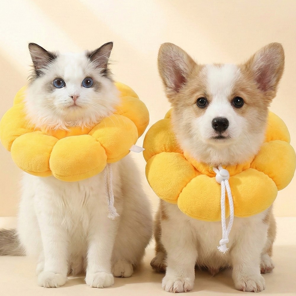 넥카라 고양이 강아지 깔대기 중성화 쿠션 목보호대 초경량 고양이넥카라 핑크 애견 옐로우, 1개, 노랑 7,500원