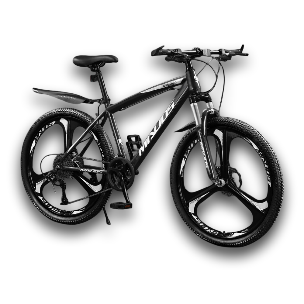 벡스터 고성능 MTB 자전거 21단 산악 출퇴근 입문용 성인 학생, 1개, 170cm, 27.5인치/그레이/삼각휠 289,000원