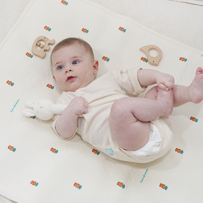 말랑하니 아기 방수 패드, 당근농장, 1개 12,900원