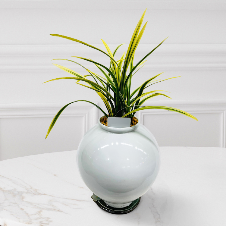 에코플라워 동양란 (이천작품 도자기 달항아리분 금기) 수도권배송 사진전송 승진 영전 인사이동 진급 취임 개업 꽃배달 g-0097 266,000원