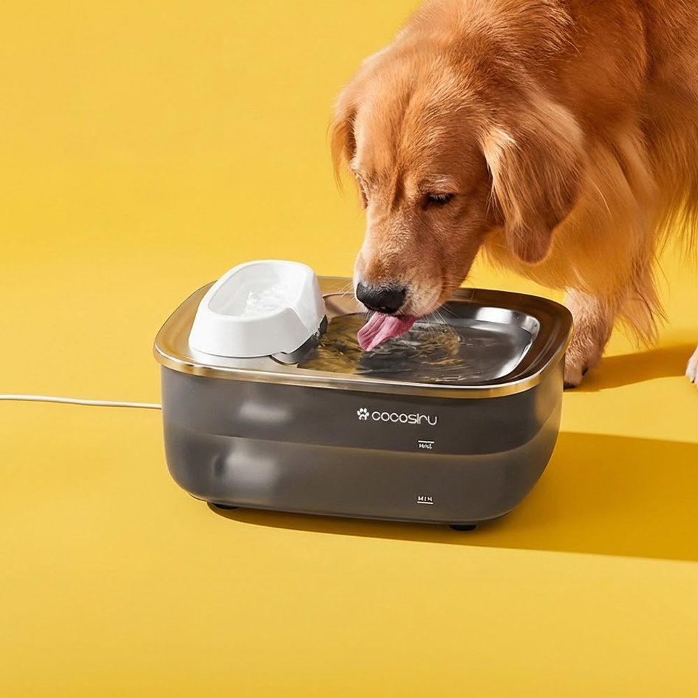 코코시루 7L 대용량 빅 플로우 자동급수기 C7WF, C7WF, 1개 71,000원