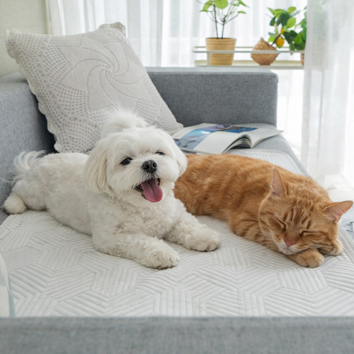 크리벨 반려동물 아추어 듀라론 냉감 쿨매트 22,590원