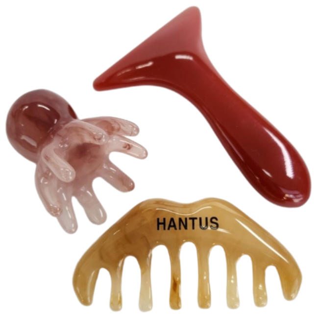 한투스 두피괄사 얼굴 바디 괄사 마사지기 AF700, A(크라운)+B(패들)+C(옥토퍼스), 1세트 9,900원