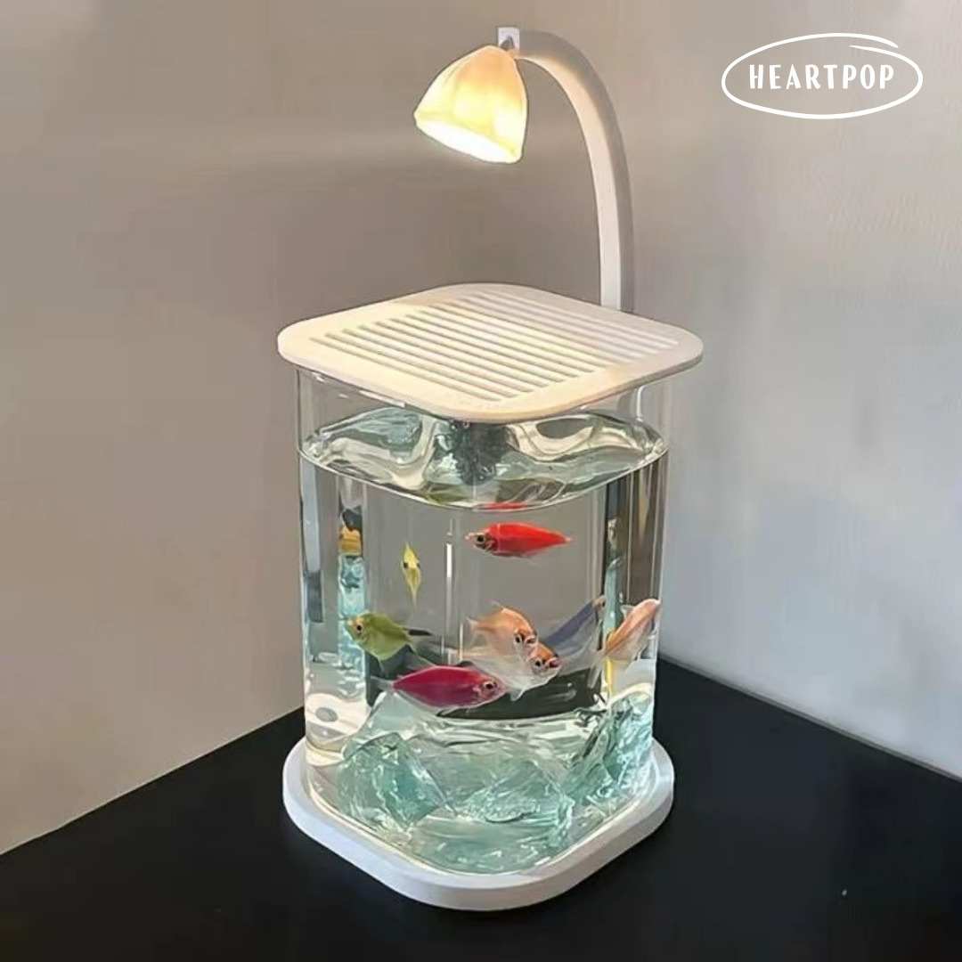 하트팝 미니 수족관 작은 어항 세트 마리모 구피 베타 새우 키우기 물멍 39,000원