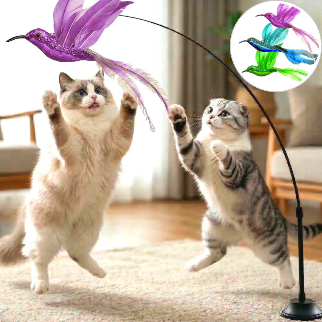스마일플로우 진짜같은 벌새 낚시대 풀세트 고양이 최애 튼튼 고정 장난감 13,900원