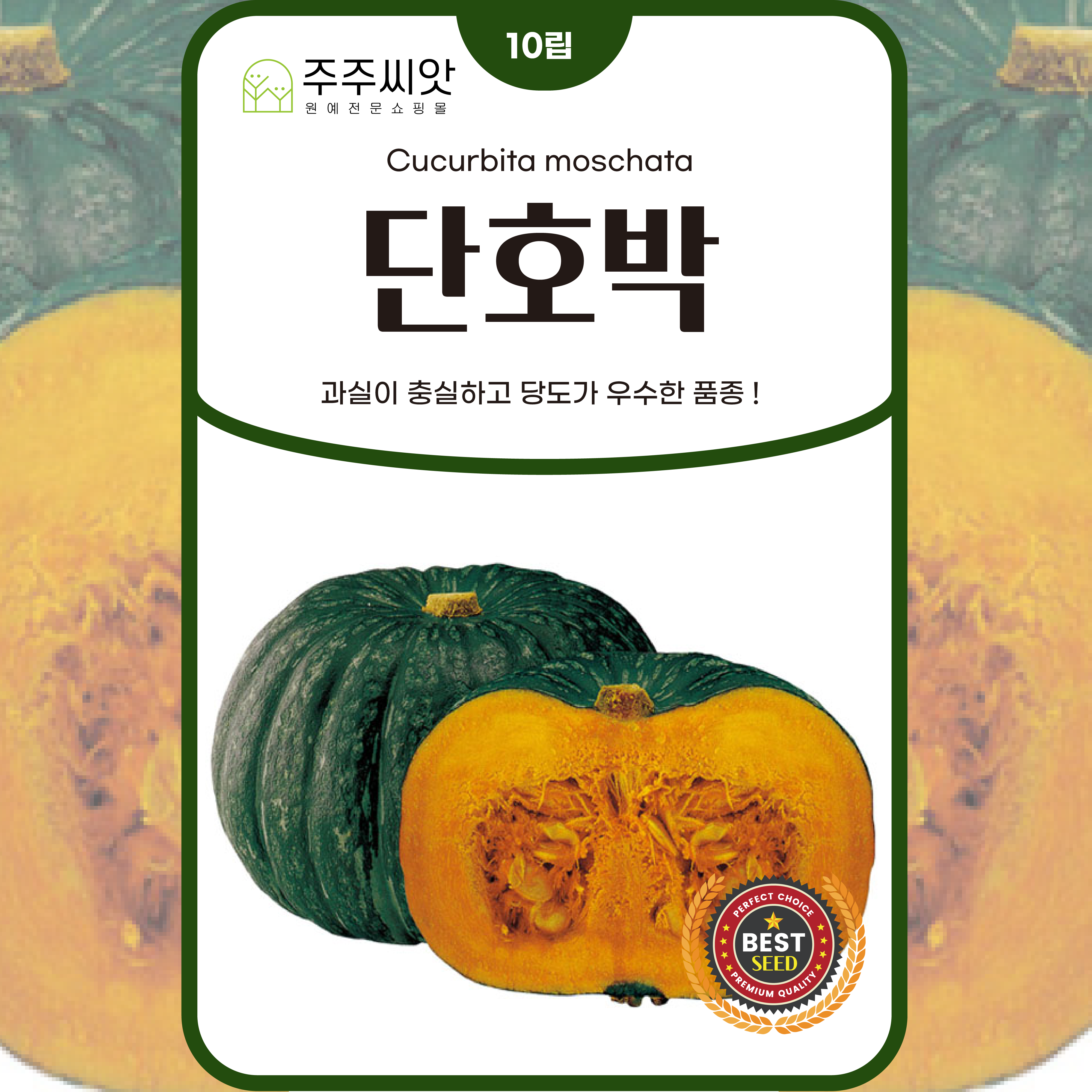 [주주씨앗] 단호박씨앗 10립 가성비소포장 단호박종자 채소씨앗 단호박씨, 1개 2,000원