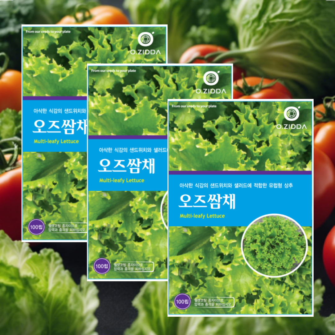 유럽상추씨앗 오즈쌈채 100립 3개, 아삭 식감 우수 유럽상추 17,000원