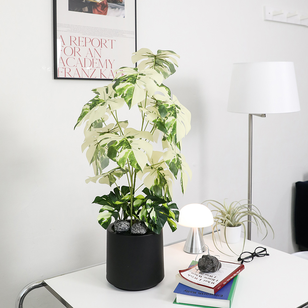 조아트 인테리어 조화나무 몬스테라 알보 + 모형돌 2p + 화분 세트, 혼합색상(조화), 랜덤발송(화분, 모형돌), 1세트 35,900원