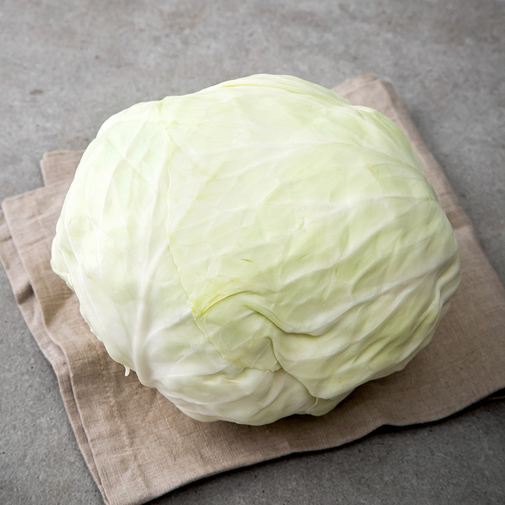 제주도 유기농 양배추 5,690원